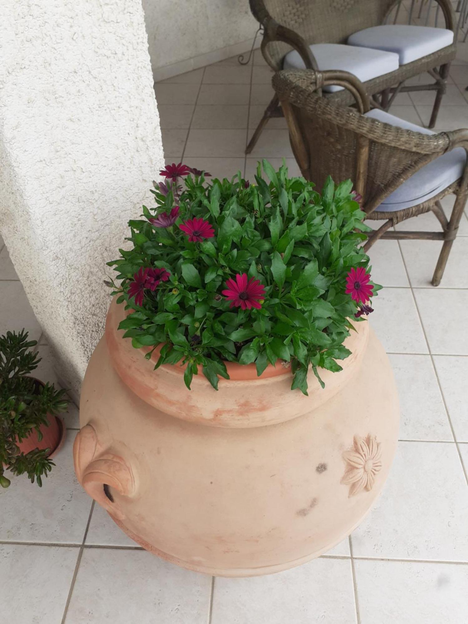 Hotel B&B Rispescia Grosseto Ngoại thất bức ảnh